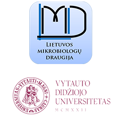 Vytauto Didžiojo universitetas