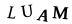 Patvirtinimo kodas